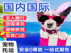 扎兰屯成吉思汗机场邮寄国际宠物托运 【国